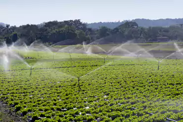 Agriculture And Irrigation